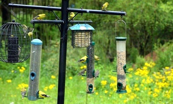 Types-of-Squirrel-Proof-Feeders