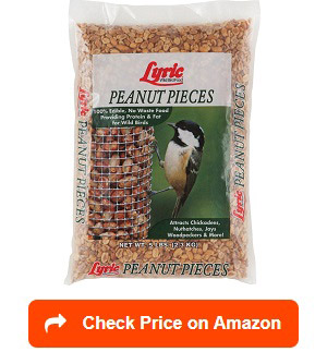 Lyric-Peanut-Pieces-Wild-Bird-Food