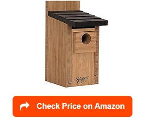 nature's way products cwh3 bluebird box houses
