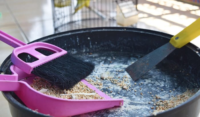 how to clean a bird cage in 4 steps