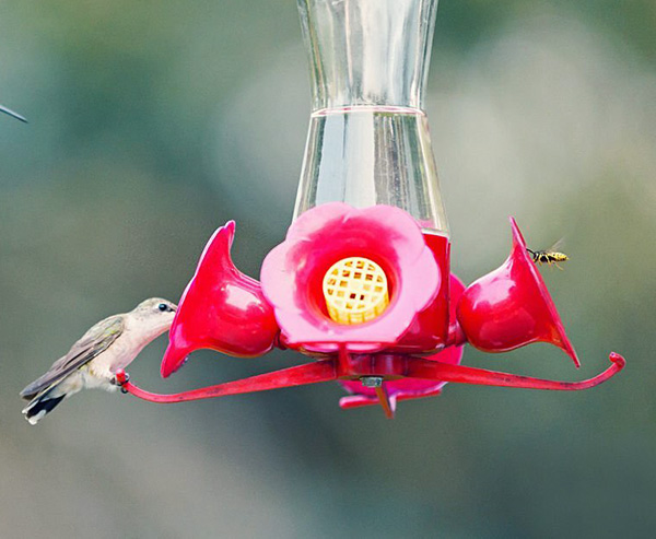 drive bees away from hummingbird feeders