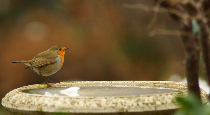 how to keep bird bath from freezing without electricity