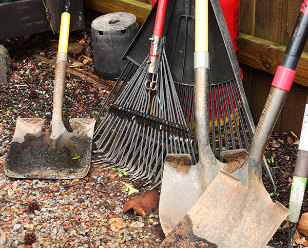using a rake clean up bird seed