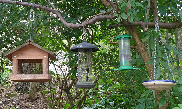 different bird feeder types