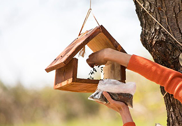 maintain the cleanliness of bird feeder